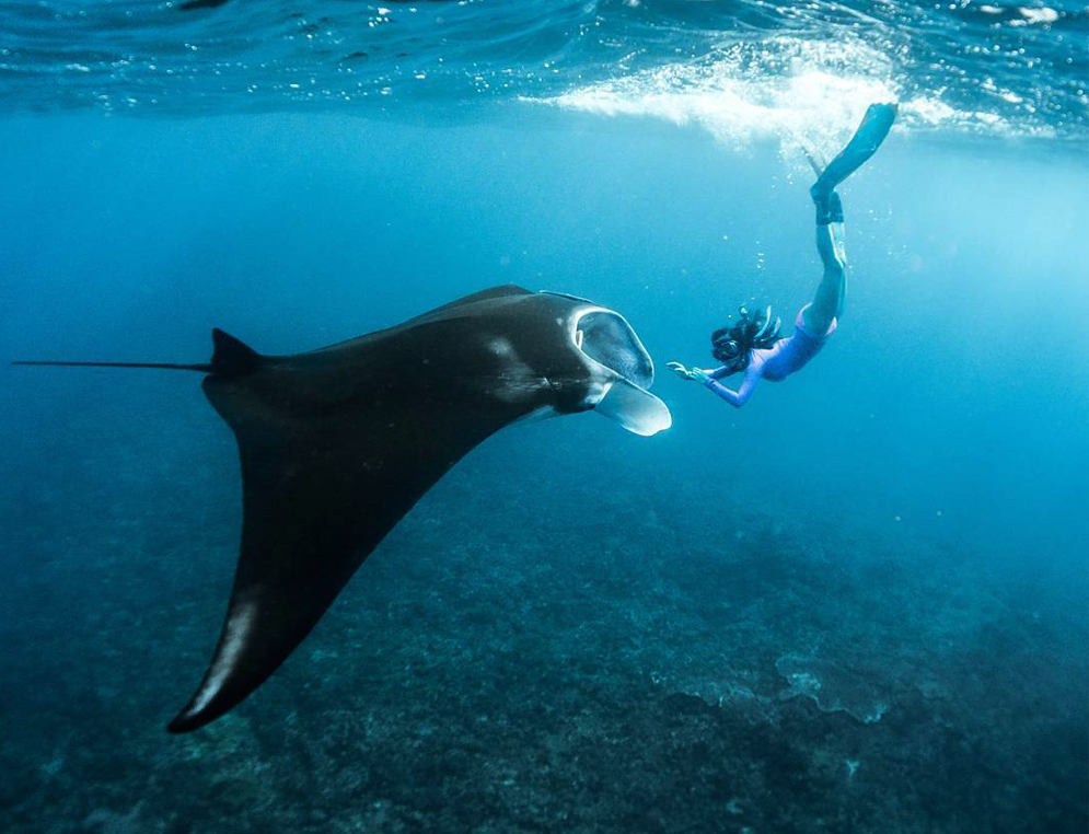 Snorkeling On Nusa Penida Island